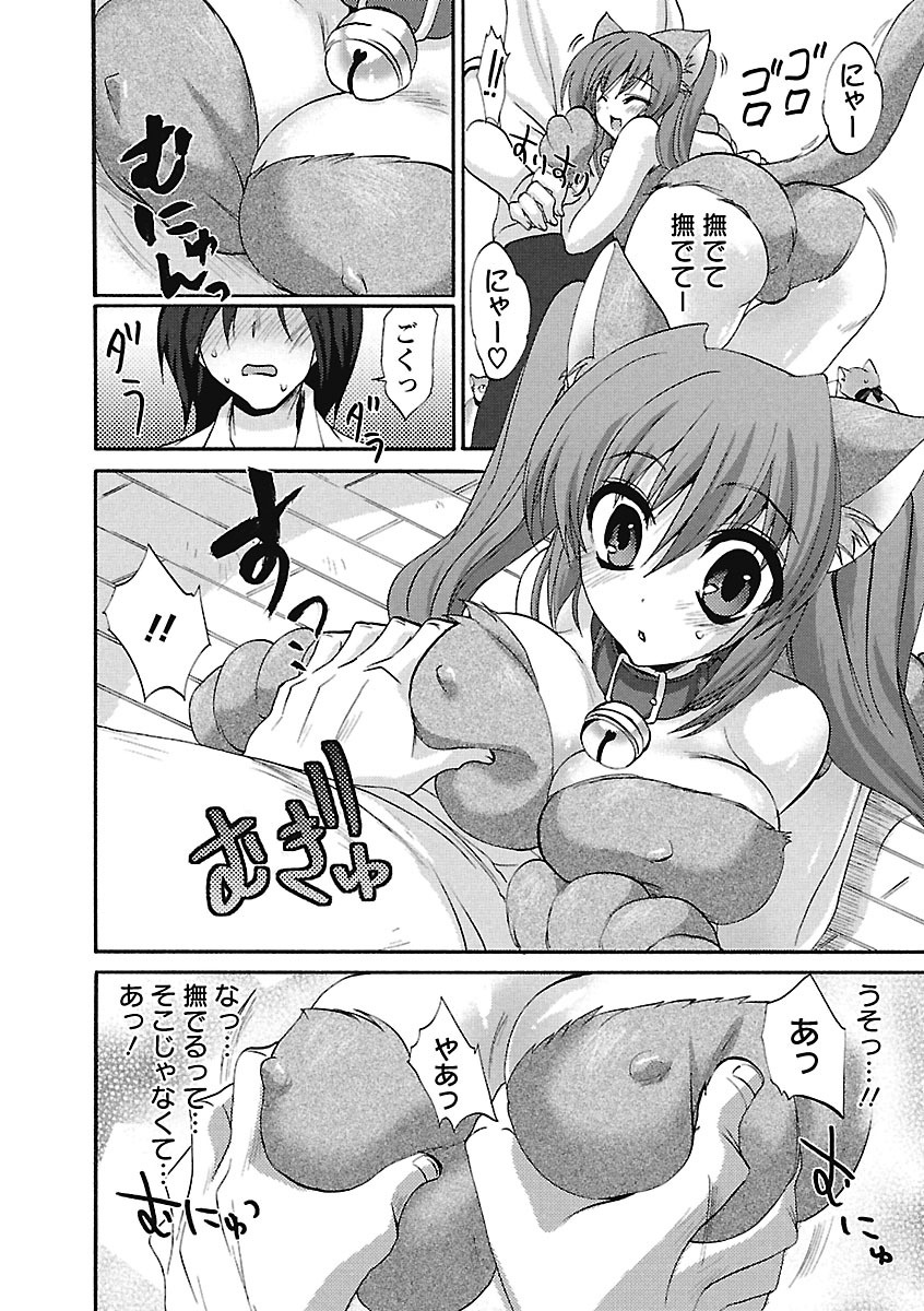 【エロ漫画】ネコのコスプレをして誘惑してくる巨乳の美少女…おっぱい揉みをされパイズリフェラでご奉仕すると生ハメ中出しトロ顔で絶頂アクメ堕ちしちゃう【三色網戸。：ネコミミハッスル！】
