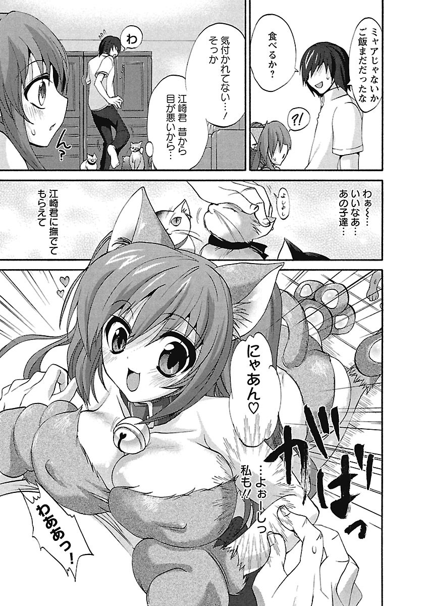 【エロ漫画】ネコのコスプレをして誘惑してくる巨乳の美少女…おっぱい揉みをされパイズリフェラでご奉仕すると生ハメ中出しトロ顔で絶頂アクメ堕ちしちゃう【三色網戸。：ネコミミハッスル！】