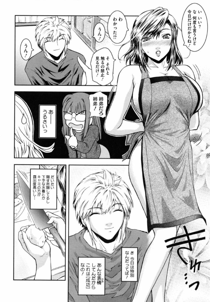 【エロ漫画】姉と同じの弟の誕生日に裸でエプロンを披露する姉…弟にパイズリフェラをしてヌイてあげると我慢できなくなり生ハメ騎乗位でそのままイチャラブをしちゃう【ここのき奈緒：あねかた。２．５】